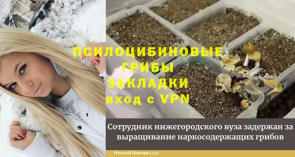 ALPHA-PVP Гусь-Хрустальный